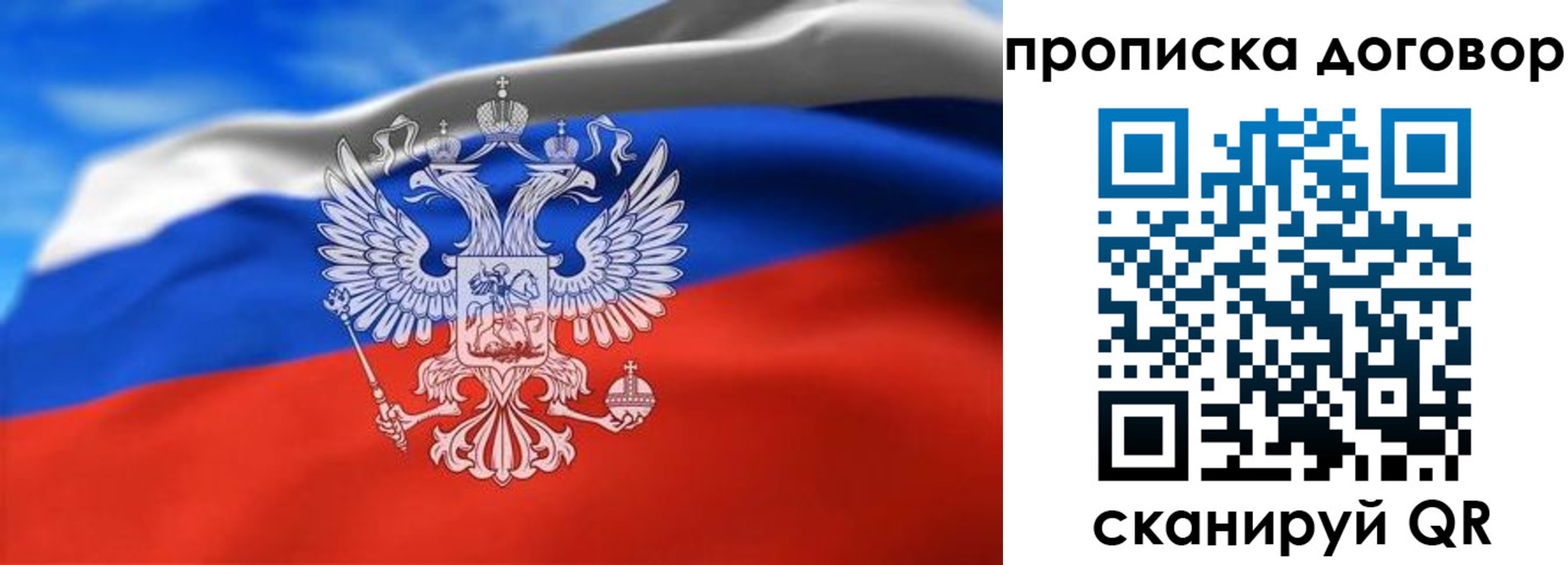 прописка в квартире в Курске
